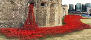 tower of london poppies 2