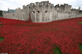 Tower of london poppies 3