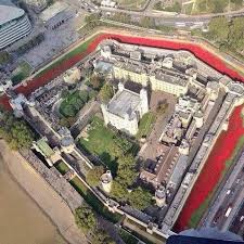tower of london poppies 4
