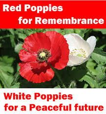 white for peace