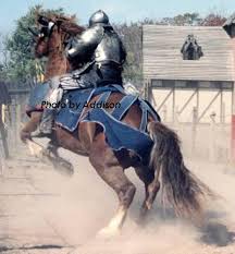 joust