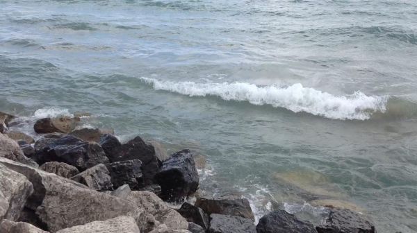 (c) Rochelle Wisoff-Fields